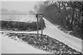 Road to Seaborough in snow in TA18 8NR