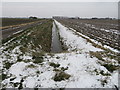 Dike alongside Fen Road, Newton, Cambridgeshire in Leverington & Wisbech Rural Ward
