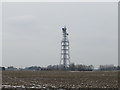 Telecommunications mast near Newton, Cambridgeshire in Leverington & Wisbech Rural Ward