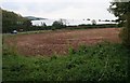 Polytunnels,  North of Ledbury in HR8 2PU