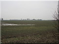 Farmland off Villa Lane in South West Holderness Ward