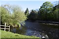 River Teith, Blair Drummond in FK9 4UP