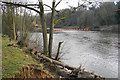 The River Severn near Holt Heath in WR6 6TA