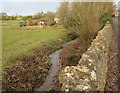 Unnamed stream in Fulbrook, West Oxfordshire in OX18 4BJ
