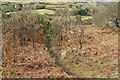 Path through the gorse, Meldon Hill in TQ13 8DT