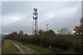 Mast by Sewage works in CB22 3DW