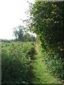 Bridleway to Wretton Fen in PE33 9QP