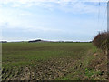 Big Cambridgeshire fields in early March in SG8 5NL