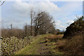Bridleway along the Southern Boundary of Deer House Wood in BB7 9QR