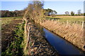 Field drainage ditch running north towards Lords Lane in DL7 9NY