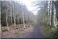 Commonty Walk, Doune in FK16 6DP