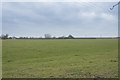 Looking across the Fens in CB24 8BJ