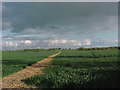 Footpath towards Burton Hastings in Stretton Baskerville