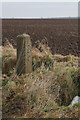 LCC Boundary Stone on Searby Wold Lane in DN38 6BN