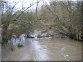 River Cole, Yardley Wood in B90 1BG