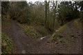 Meeting of three paths near Dewriding Plantation in RH3 7BP