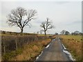 The road to Shitlington Hall in NE48 3QE