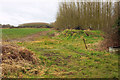 Woods and field east of Queen Charlton in BS31 2SH