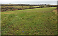 Farmland and wood near Queen Charlton in BS31 2SH