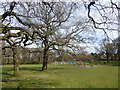 Looking towards the playground in Hillingdon Court Park in UB10 9BG