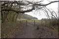 Gate on to National Trust area at Colley Hill in KT20 7HN