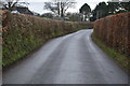 Lane near Langsford in PL19 9LY