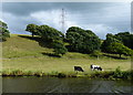 Farmland next to the Leeds and Liverpool Canal in PR6 8BL