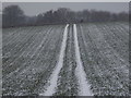Turnworth: a snowy field in DT11 0EB