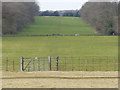 The edge of the Woburn Abbey estate and fields in Aspley & Woburn Ward