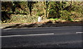 Grade II listed milepost, Gwscwm Road, Burry Port in SA16 0NQ