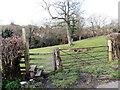 Llwybr ar Lonesome Lane / Path on Lonesome Lane in Newtown and Llanllwchaiarn Community