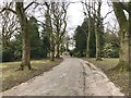Tree-lined carriage drive in Queen's Park, Longton in ST3 4AT