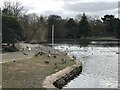 Waterfowl and lake in Queen's Park, Longton in ST3 4AT