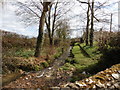 Stream, beside Collin's Farm in EX24 6BS