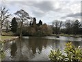Lake in Queen's Park, Longton in ST3 4NZ