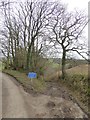 Old lane to Groubear Bridge in EX16 8JH