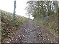 Steep lane from Groubear Bridge to Withleigh in EX16 8JH