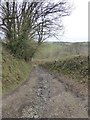 Rough track to Groubear Bridge in EX16 8JH