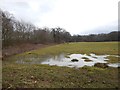 Wet Field near Waterloo Farm in GU23 6FL