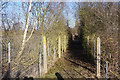 Footpath near Holton Fish Pond in DN38 6DL
