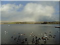 Hollingworth Lake after the snow shower (1) in OL15 0DN