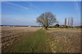Path leading to Star Carr Lane, Wrawby in DN20 8TH