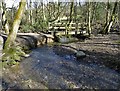 Footbridge in Gillifield Wood in S17 4HL