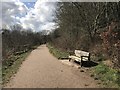 Lakeside path on Astbury Mere Country Park in CW12 4HA