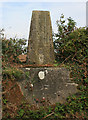 Trig Point in EX21 5PJ