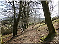 Old track on the flank of Black Hill in ML11 9XL