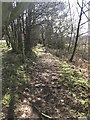 Public footpath south of Madeley Heath in CW3 9LT