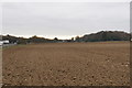 Ploughed field near Newmarket in CB8 0XG