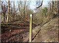 Bridleway on Chinnor Hill in OX39 4BH