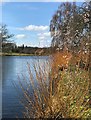 On the edge of The Lake at Burghley House in St. Martin's Without